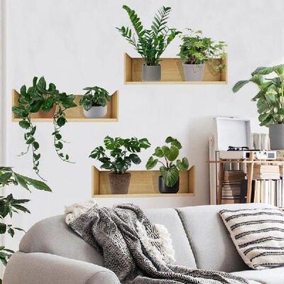 3pcs Plant Design Wall Sticker Plant Potted Pattern Wall