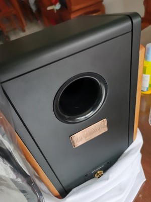 用了分享：纪念版尊宝d590音箱评测怎么样如何好不好，使用五个月感受