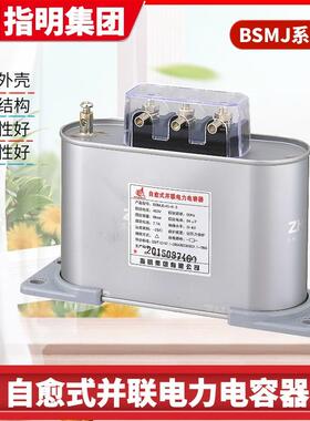 集团现货ZMKX0.48-10-3系列抗谐波型低压并联电力电容器三相