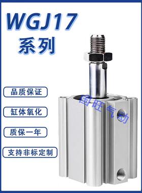 气缸WGJ05/06/16/17-32/40/50/63-10 15 20 25 30 35 45 60-Y/N-2