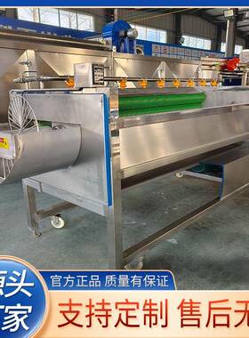 芋头海鲜毛辊清洗机去皮去泥设备马铃薯根茎类硬毛刷清洗机设备