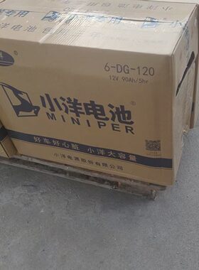 小洋水电瓶6DG120型6DG140型6DG150型6DG160型电动叉车三轮四轮