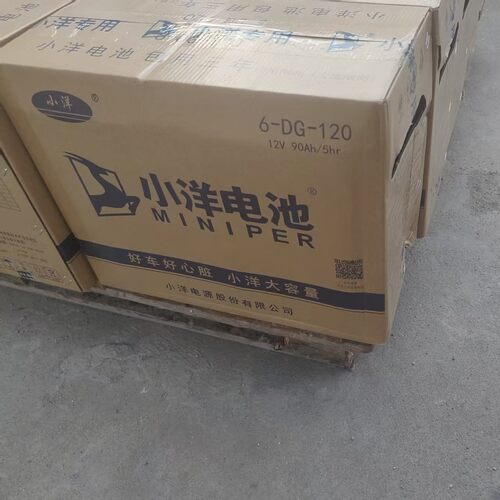 小洋水电瓶6DG120型6DG140型6DG150型6DG160型电动叉车三轮四轮