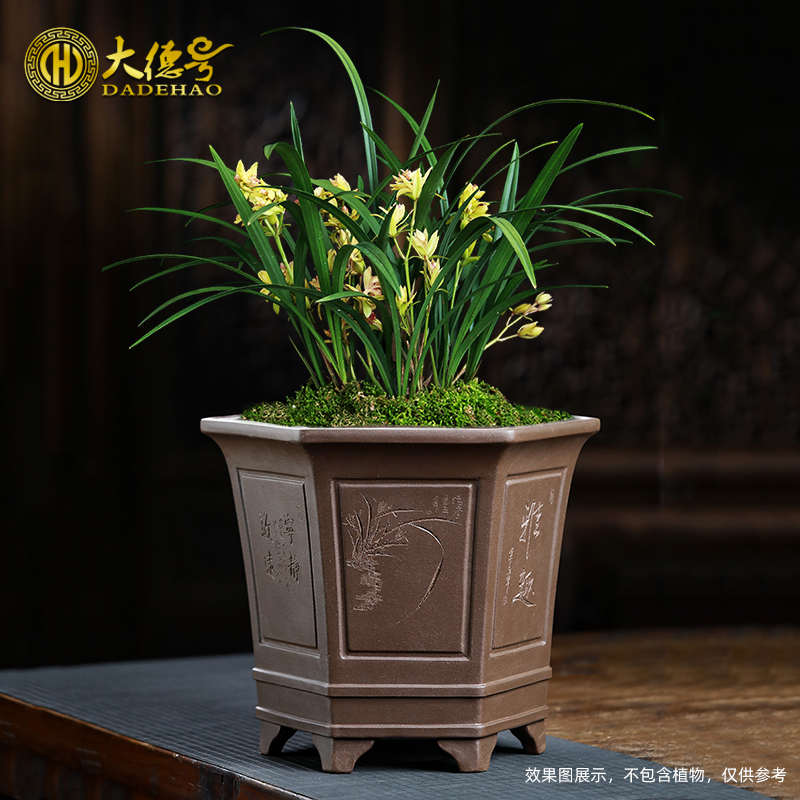 大德号精工大号宜兴紫砂花盆盆景盆绿植树桩专用盆五针松蕙兰兰花