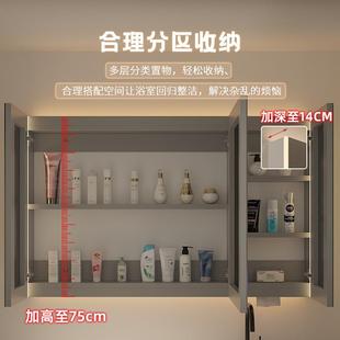 智能室柜单独挂墙镜式 带灯除雾卫生间妆镜子梳实木带置物419架收