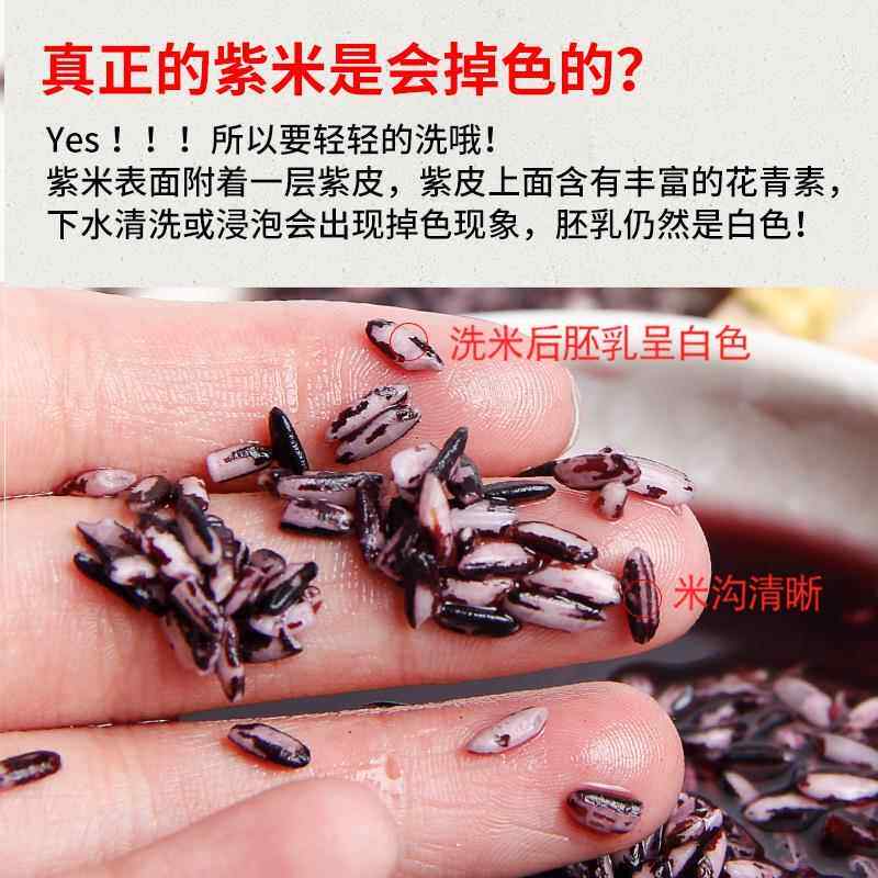 云南墨江紫米当季新米紫糯米五谷杂粮血糯紫米露粗粮煮粥寿司饭团