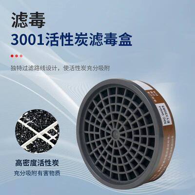 3M 350P尘毒呼吸防护套装 10套/箱