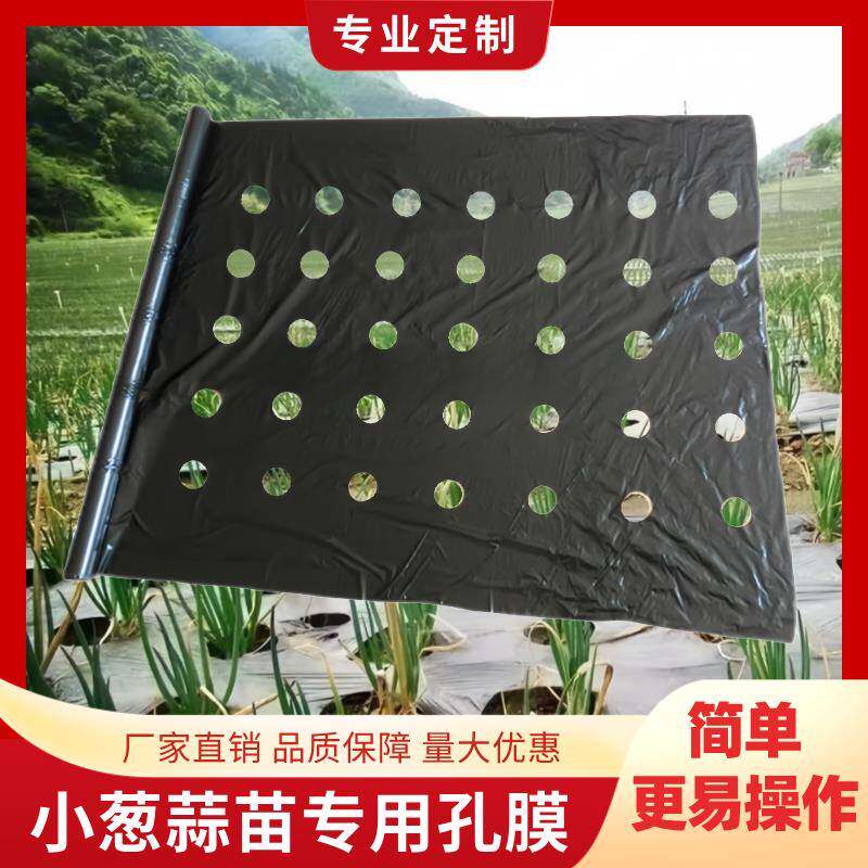 农用种植打孔地膜黑膜防草菜地开孔带孔薄膜除草保温免打孔膜