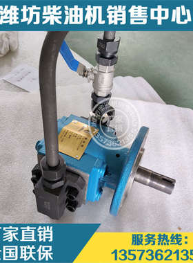 XCW8200潍柴6200重庆C62.08.27.0000燃油输送油泵C62.08.22.1000