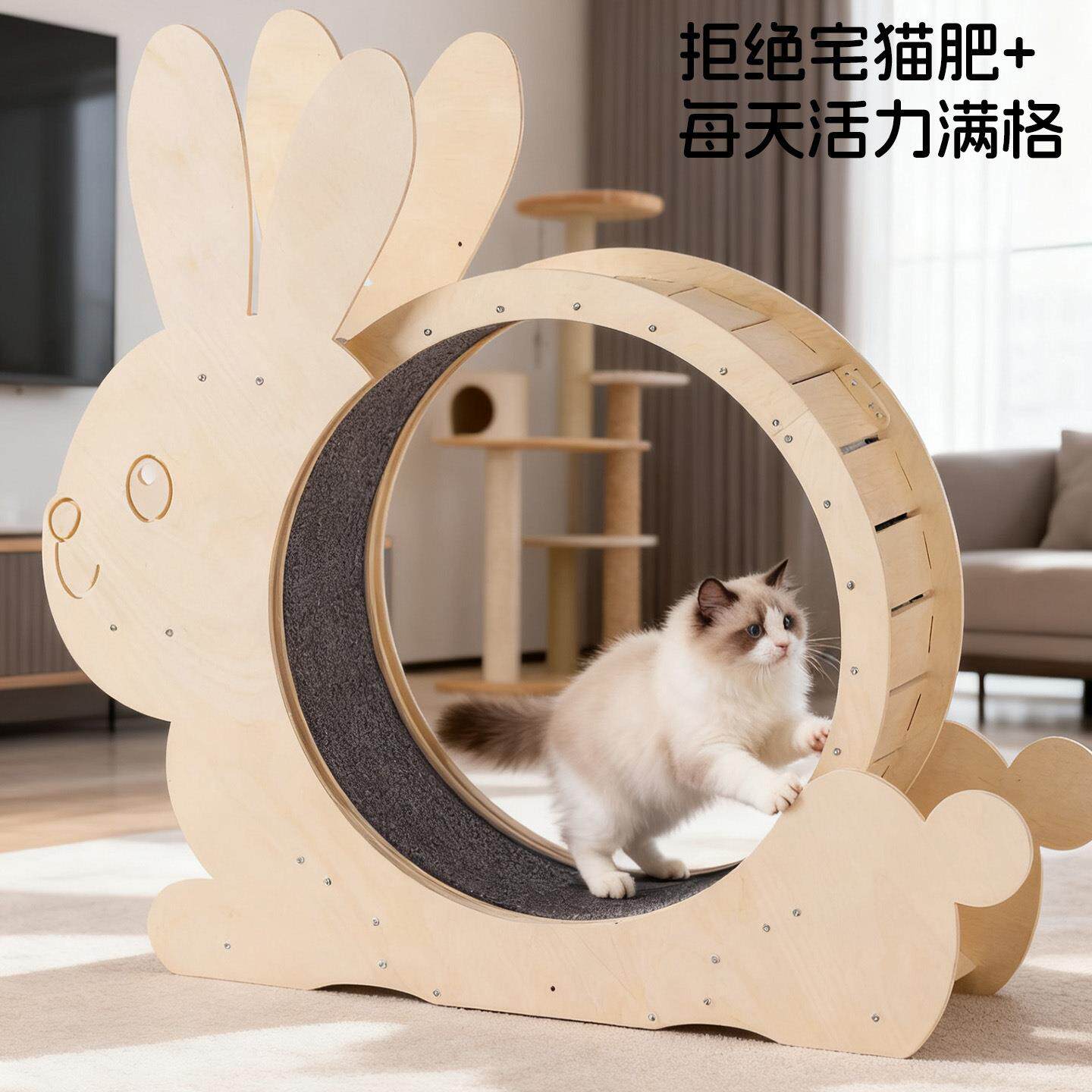 实木猫咪跑步机宠物狗健身玩具滚轮静音运动跑轮圈大型猫爬架环保