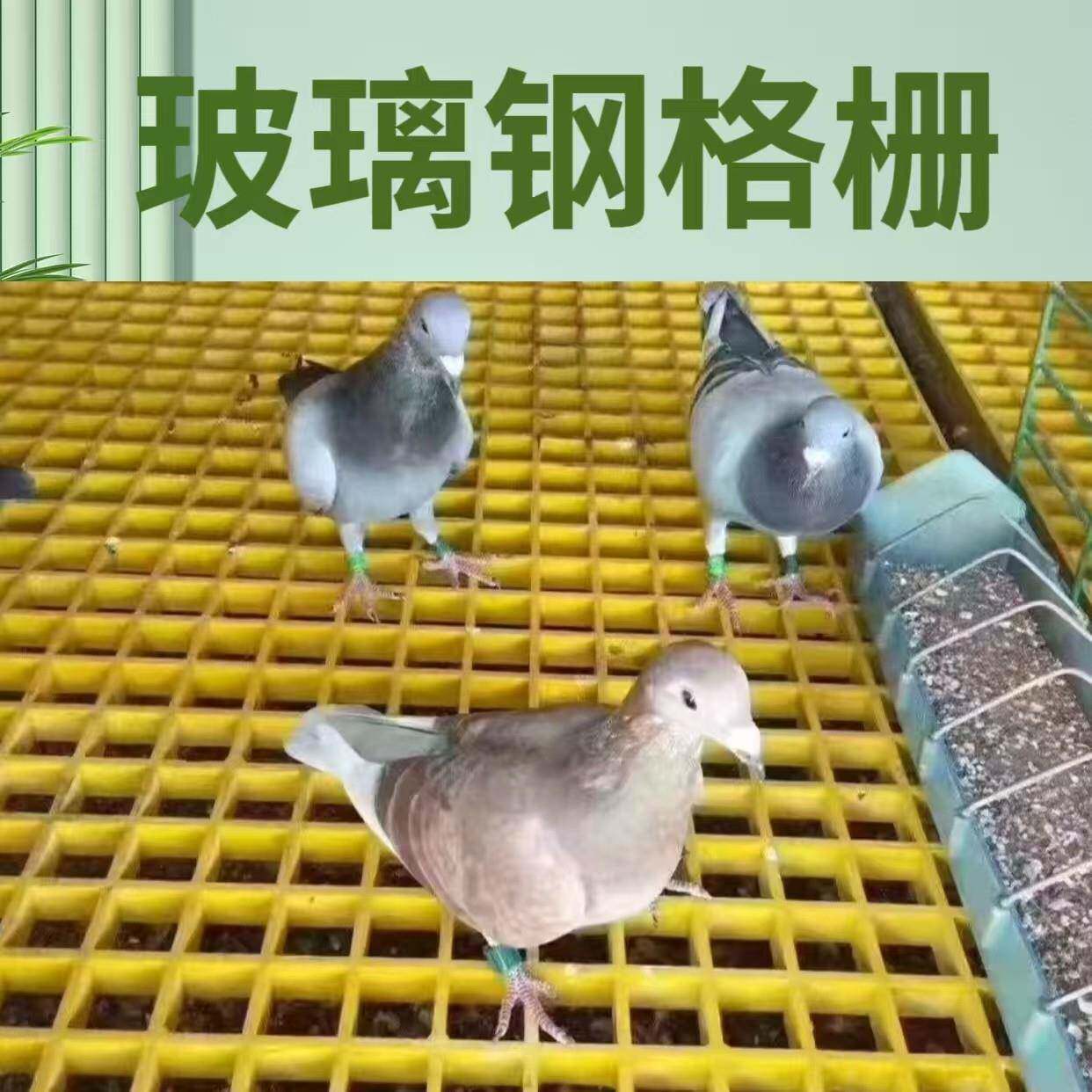 洗车房格柵养殖鸽舍用格栅小孔光伏通道排水沟盖板养殖场漏粪板