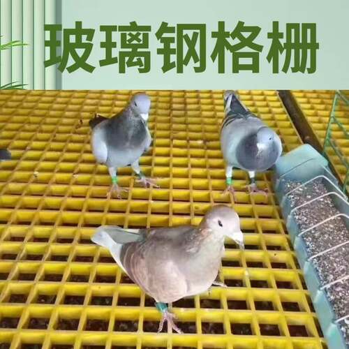 洗车房格柵养殖鸽舍用格栅小孔光伏通道排水沟盖板养殖场漏粪板