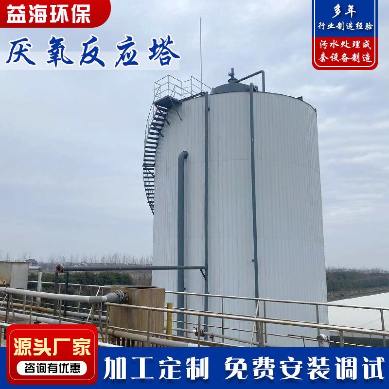 内循环厌氧反应器 污水处理设备厌氧流化床反应塔 厌氧塔