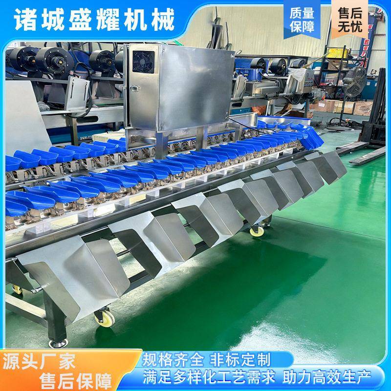 5个规格扇子骨重量分选机 鸡排克重分级机冷冻凤爪称重分级机盛耀