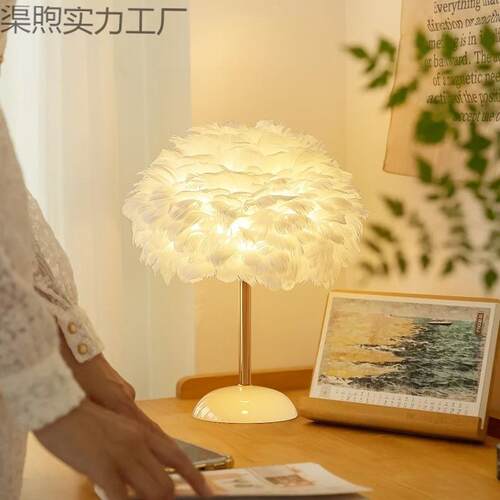 轻奢护眼羽毛遥控台灯网红直播间装饰氛围灯客厅女生卧室床头灯