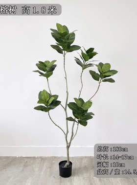 富贵简约树花落地仿真仿真艺师植客厅风榕树绿室内款寂橡树侘高端