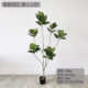 富贵简约树花落地仿真仿真艺师植客厅风榕树绿室内款 寂橡树侘高端