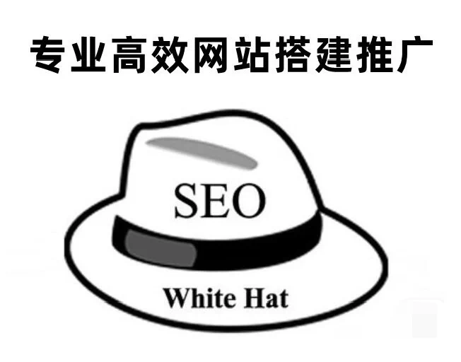 seo分析_优化诊断_网站推广_私人 or 企业运营订制