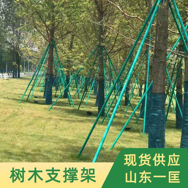 镀锌钢管树木支撑固定器烤漆苗木防歪支撑杆园林绿化防风支撑架