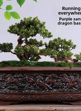 紫色粘土花盆古典特大矩形马槽圆形粘土榕树芦笋欢迎松树海棠室内