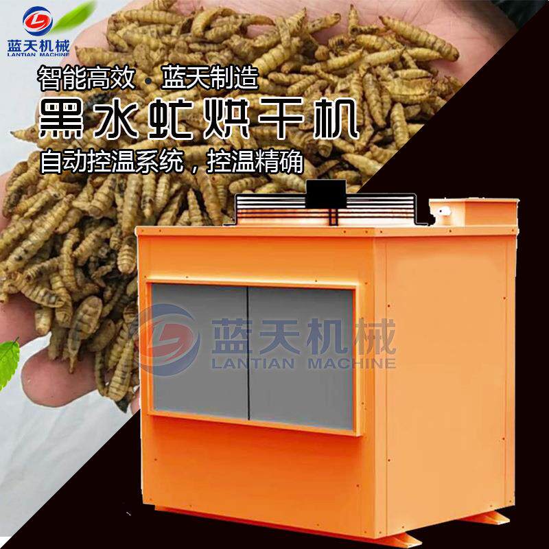 高温黑水虻烘干机 大型热泵蝇蛆烘干房 虫蛹蚕蛹黄虫干燥设备