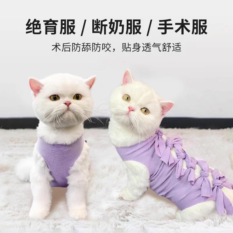 猫咪绝育服母猫手术服戒断奶衣服透气生理裤用药防舔宠物衣服用品