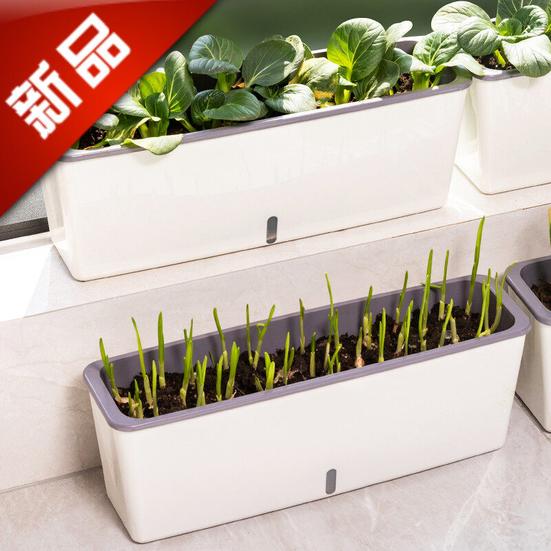 长方形窄花盆阳台种菜条