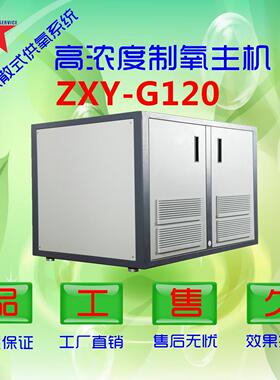 弥散制氧机大型商业空间供氧系统变压吸附制氧