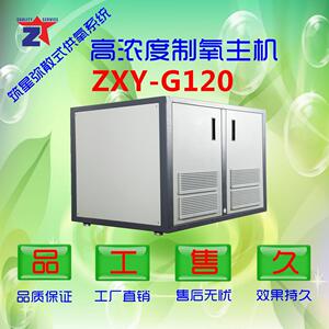 弥散制氧机大型商业空间供氧系统变压吸附制氧