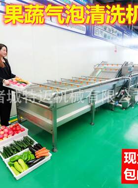 全自动外婆菜清洗机 山野菜气泡冲浪除杂机 桔梗菜清洗沥水流水线