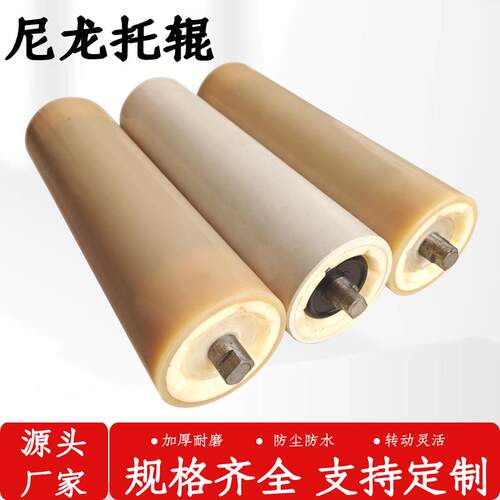 专业生产托辊尼龙高分子托辊 白色工程塑料托辊 防尘防水尼龙托辊
