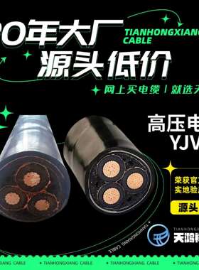 专业供应阻燃电线橡皮套管高压铜芯电力电缆YJV223*240现货