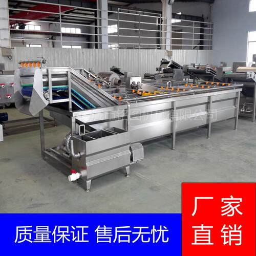 新款百合瓣去杂清洗机全自动秋葵清洗设备机荔枝气泡清洗设备