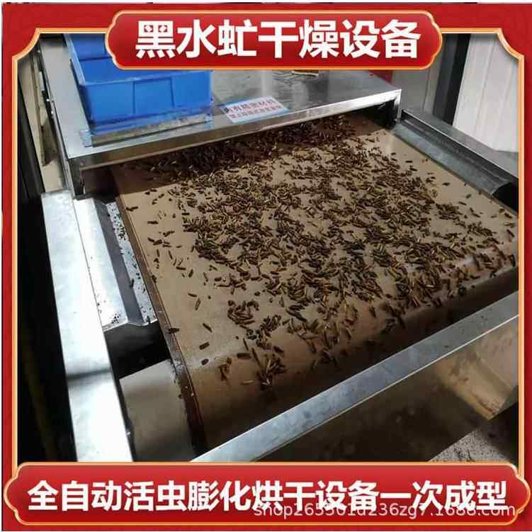 连续式黑水虻虫烘干机 大麦虫黄粉虫膨化干燥设备 黑水虻烘干设备