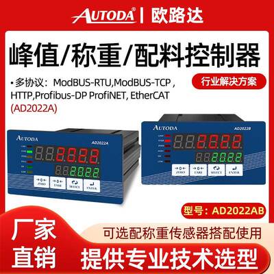 AD2022A/B灌装配料称重控制仪表Profibus-DP协议可配测力软