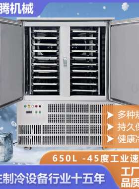 潮丸州子冷冻储存极945速冰芯冻柜低温包子水子果包紫薯丸速冻机