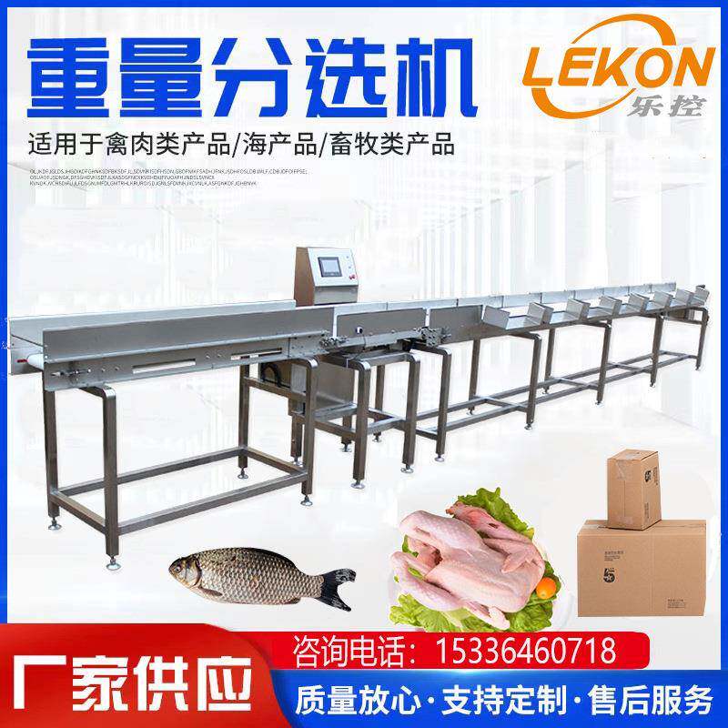 厂家供应皮带式6级重量分选机白条鸭白条鸡重量分级秤称重设备