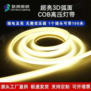 220V户外防水工程亮化超亮COB硅胶软灯带插电即用不需要变压器