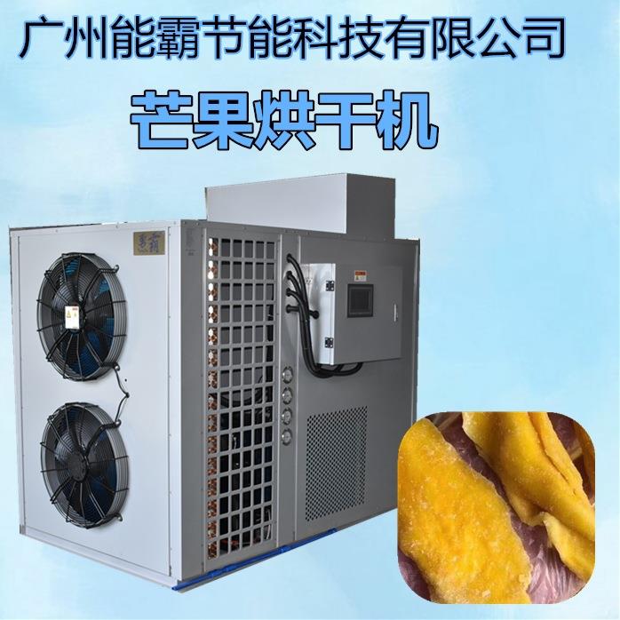 直销芒果烘干机广西优质除湿芒果烘干机小型芒果烘干机