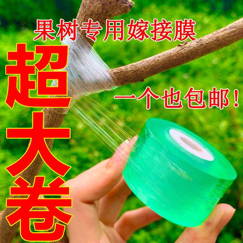 嫁接膜接树果树缠绕膜嫁接专用塑料薄膜自粘环保透明拉伸膜保温膜