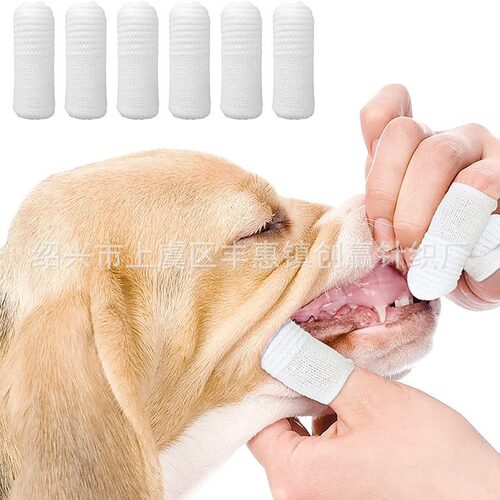 狗狗牙刷牙刷洁牙手指狗口腔清洁