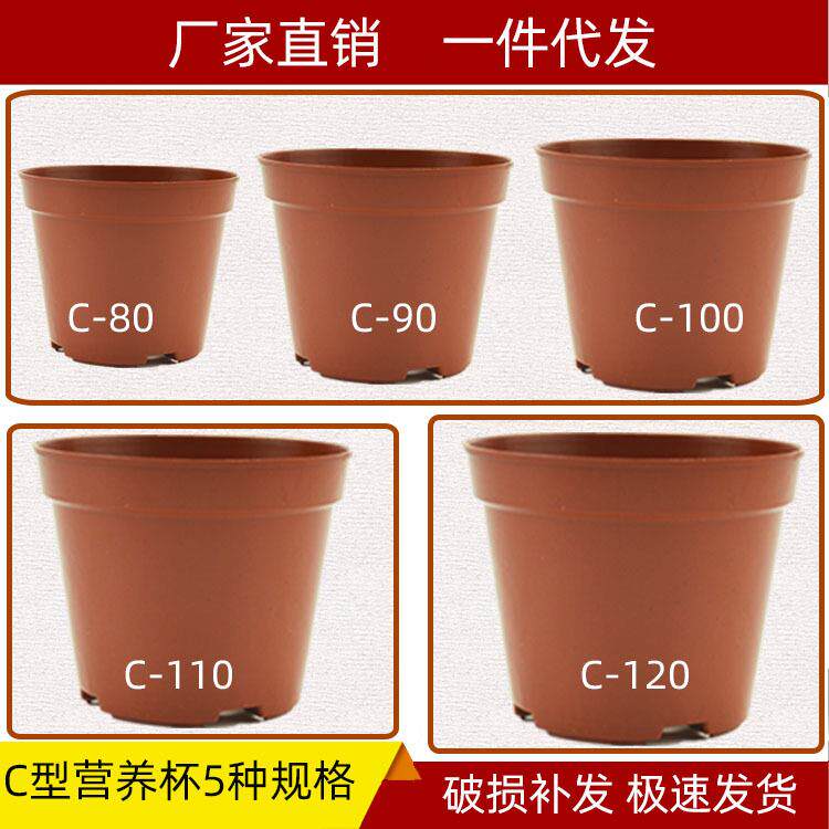 C育苗型营养杯圆形钵塑料花盆盆栽绿植培植棕色[厂价大量直供]