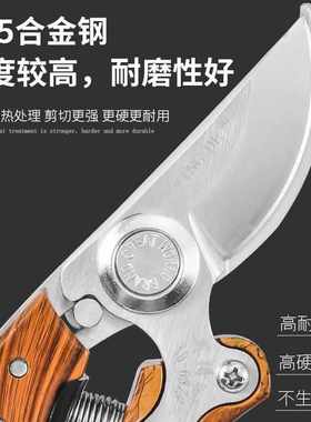 园林剪刀专业级果枝剪Pruning Shears锋利果树剪鸟嘴园林修枝剪
