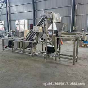 商用大型水果榨汁生产线 橄榄油柑去核机 苹果雪梨柠檬螺旋榨汁机