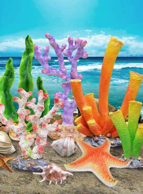 户外贝壳珊瑚海草海螺海星摆件玻璃钢雕塑景观海洋主题场景装饰品
