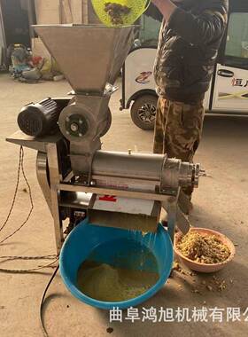 商用瓜大型鲜果榨榨汁机冰糖橙哈蜜椰BVG蓉大产量水果破碎压机