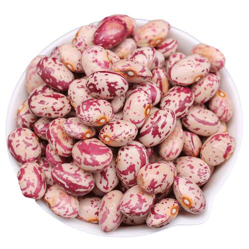 花芸豆 雀蛋豆 Chitra rajma 1kg Pinto beans