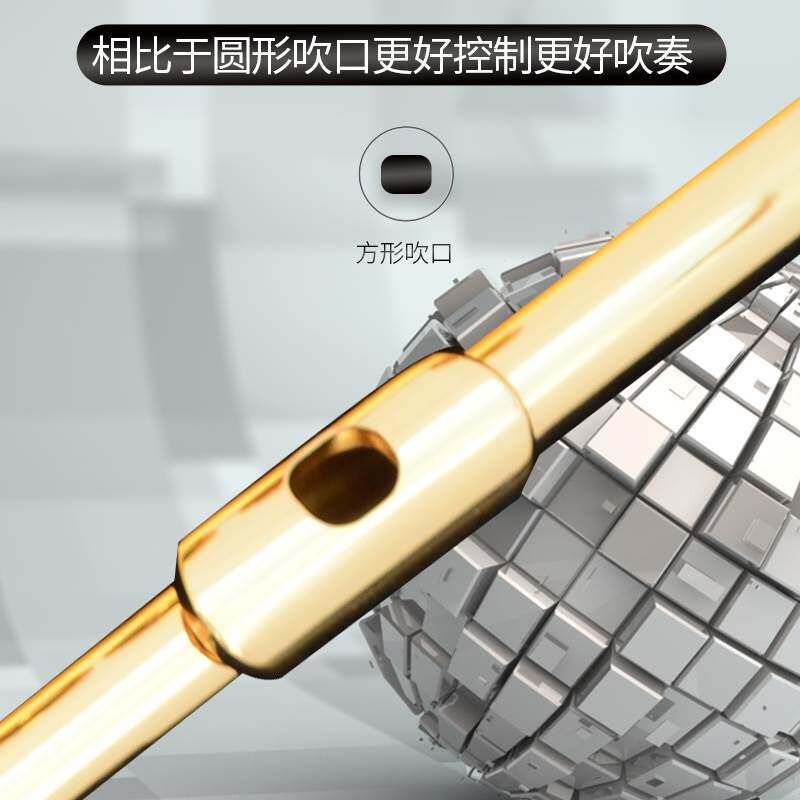 White copper beginner's flute instrument opening and|msdalam kategori Alat muzik/Guitar/Piano/Fitting, alat-alat muzik barat, instrumen angin barat, Flute - dari Buy2taobao.com untuk memberikan perkhidmatan ejen Taobao profesional membeli