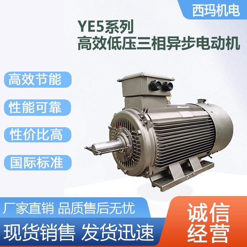 西安电机IE5一级能效交流三相异步电动机YE5280S-4极75W