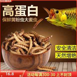 龙鱼银龙鱼饲料森森血鹦鹉鱼食大麦虫热带鱼发财鱼鱼粮罗汉鱼饲料